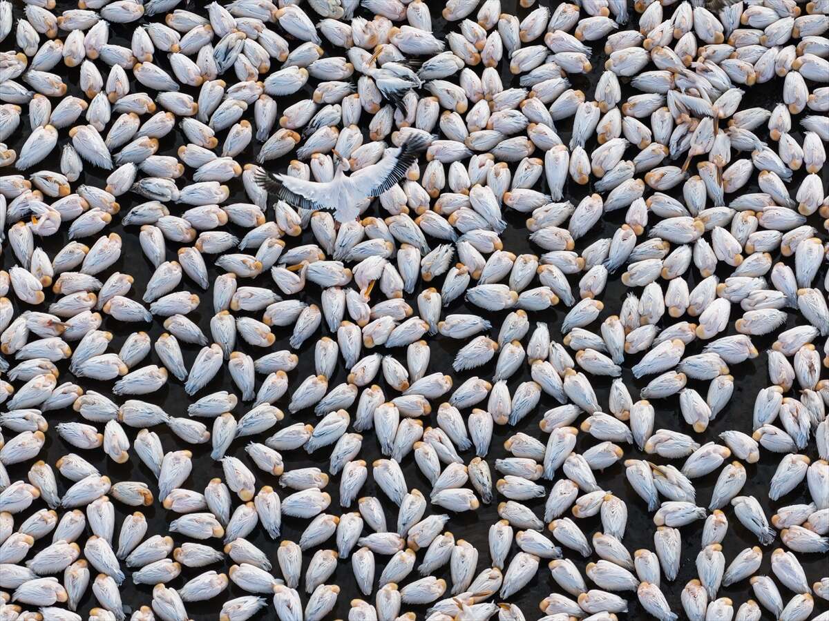 Konya’nın ünlü gölünde kuraklık sonrası sevindiren dönüş 7